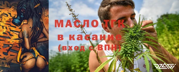 PSILOCYBIN Михайлов