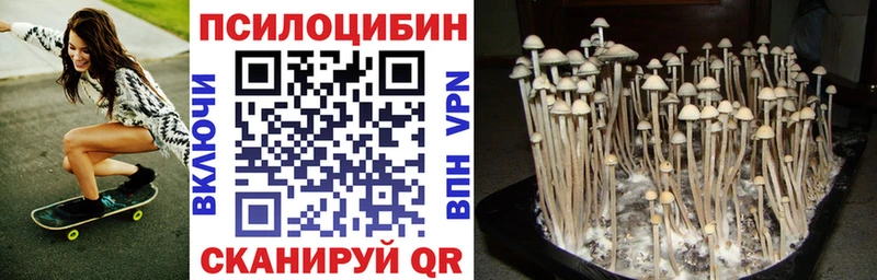 Галлюциногенные грибы Cubensis  Купить  Орлов 